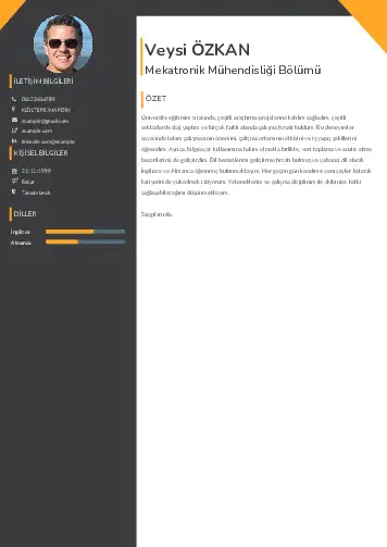 Mekatronik Mühendisliği Cv Örnekleri cv indir